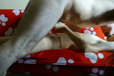 Skandal ABG Bispak Jakarta Hotel Mewah Terekam Live Terbaru 2026